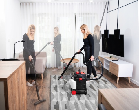 Odkurzacz Piorący Lehmann UltraWash 2000W do Dywanów i Tapicerek