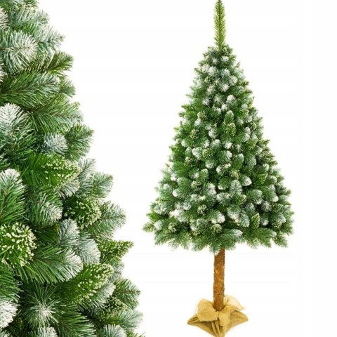 Sztuczna Choinka 180Cm, Polska Sosnowa Diamentowa, Ośnieżona, Gęsta Na Pniu