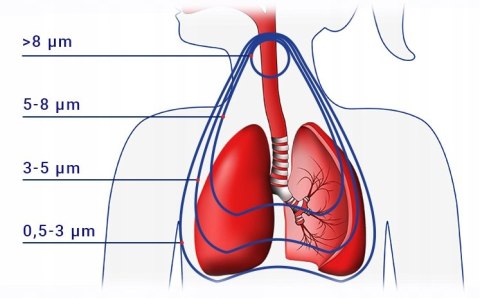 Inhalator Flaem 4Neb Rf9, Regulacja Cząsteczek, Dla Dzieci I Dorosłych