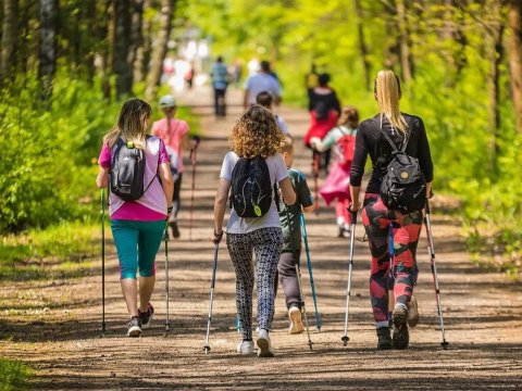 Kieki Trekingowe Anti-Shock 63-135 Cm Z 3 Końcówkami Na Las, Aspalt I Śnieg