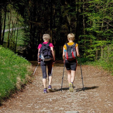 Kijki Trekkingowe Składane Omi 65-135Cm Z Systemem Anti-Shock, 12 Końcówek