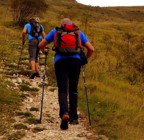 Kijki Trekkingowe Składane Omi 65-135Cm Z Systemem Anti-Shock, 12 Końcówek