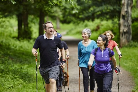 Kijki Trekkingowe Składane Omi 65-135Cm Z Systemem Anti-Shock, 12 Końcówek