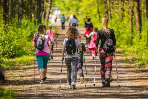 Kijki Trekkingowe Składane Omi 65-135Cm Z Systemem Anti-Shock, 12 Końcówek