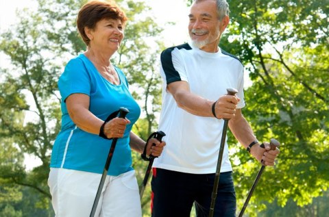 Kijki Trekkingowe Składane Omi 65-135Cm Z Systemem Anti-Shock, 12 Końcówek