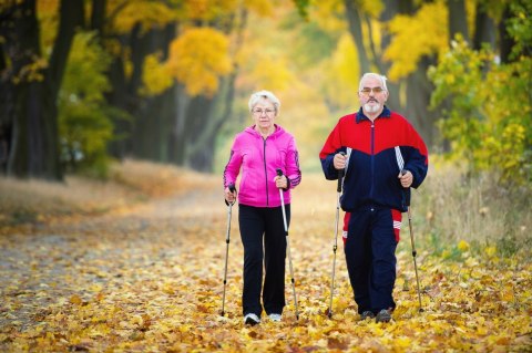 Kijki Trekkingowe Składane Omi 65-135Cm Z Systemem Anti-Shock, 12 Końcówek