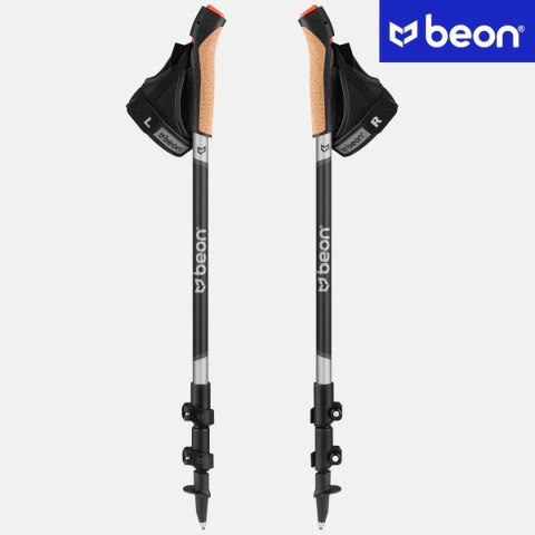 Karbonowe Kije Nordic Walking Składane Z Korkowym Uchwytem Włókno Węglowe
