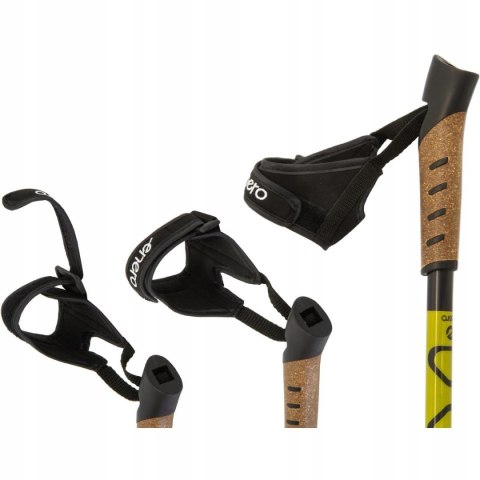 Kije Nordic Walking 110-135Cm Regulowane, Antypoślizgowe, Z Pokrowcem Set