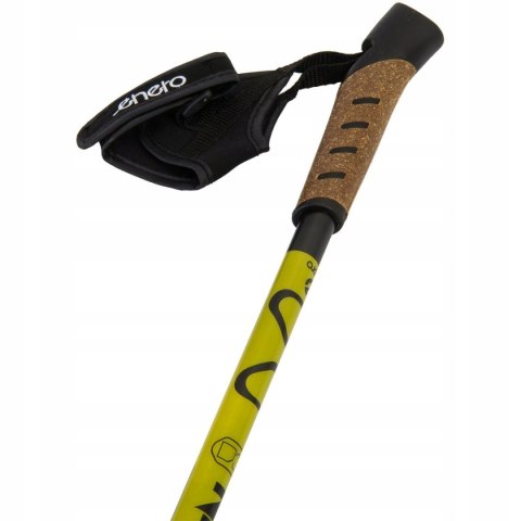 Kije Nordic Walking 110-135Cm Regulowane, Antypoślizgowe, Z Pokrowcem Set