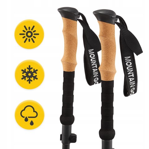 Kije Trekkingowe Active Carbon 110-130 Cm Do Nordic Walking, Regulowane