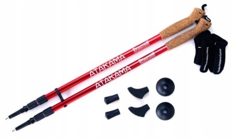 Kijki Do Nordic Walking Evolution Atakama 3-Sekcyjne Z Antishockiem