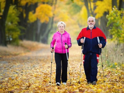 Kij Nordic Walking Trekingowy Czerwony 3-Segmentowy Antishock 135Cm Korkowy