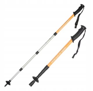 Kije Nordic Walking 2 Szt. Teleskopowe, Regulowane, Anti-Shock 65-135Cm