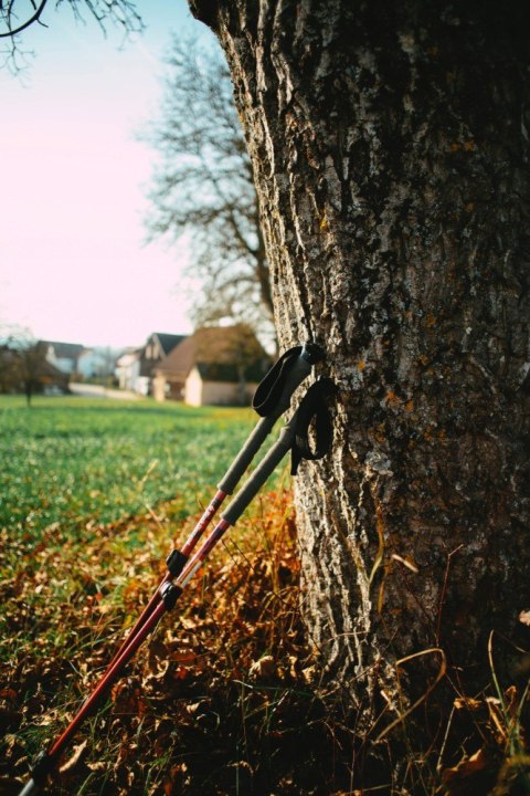 Kije Nordic Walking 3-Segmentowe Teleskopowe Aluminiowe Anti-Shock 64-135Cm