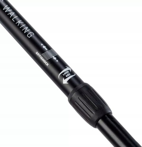 Kije Nordic Walking Dwusekcyjne Martes Centaurus 83,5-135Cm Z Antishock