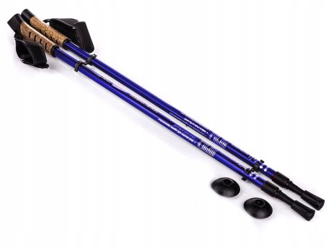 Kije Nordic Walking Teleskopowe 65-135Cm Antishock Komfort I Stabilność
