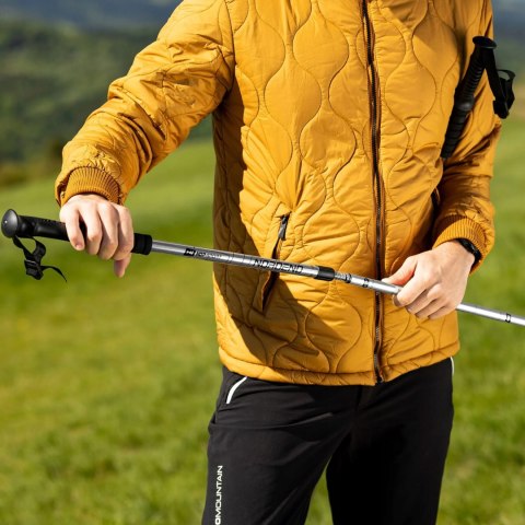 Kije Trekkingowe Lekkie Nordic Walking Regulowane Anti-Shock Z Pokrowcem