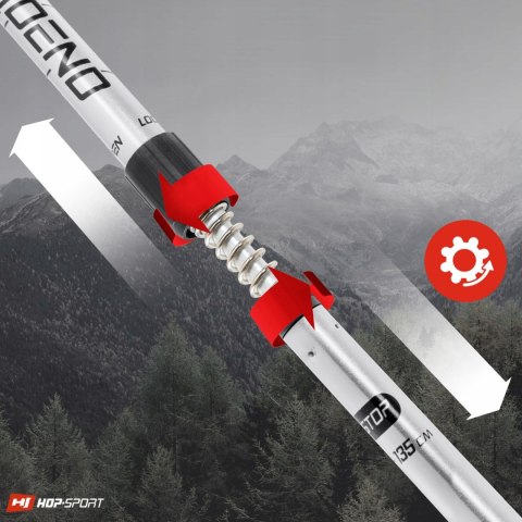 Kije Trekkingowe Lekkie Nordic Walking Regulowane Anti-Shock Z Pokrowcem