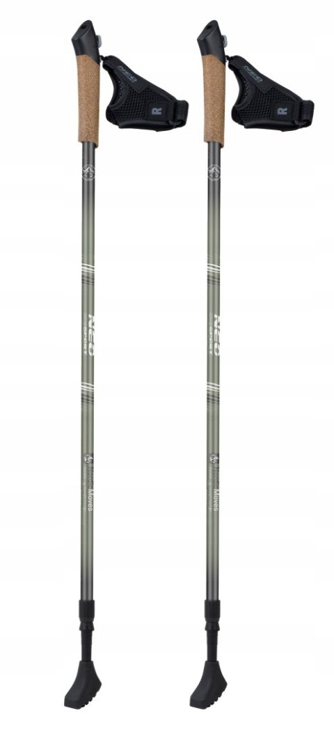 Profesjonalne Kijki Nordic Walking Regulowane 85-143 Cm Z Rękawiczkami