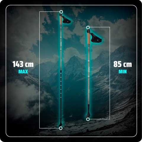Profesjonalne Kijki Nordic Walking Regulowane 85-143 Cm Z Rękawiczkami