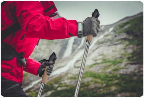 Profesjonalne Kijki Nordic Walking Regulowane 85-143 Cm Z Rękawiczkami