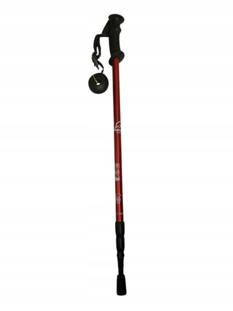 Kije Nordic Walking Czerwone Składane Teleskopowe, Regulacja 65-135 Cm
