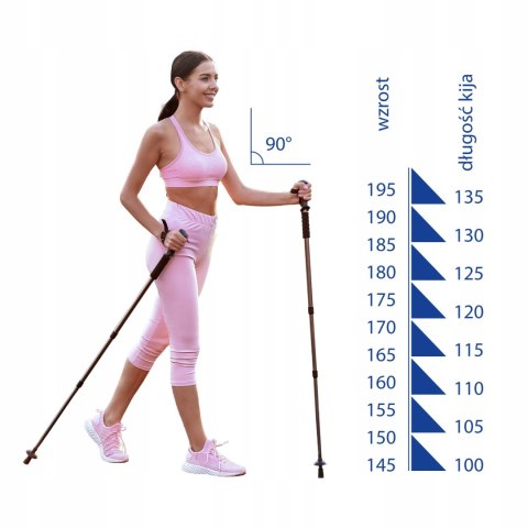 Kije Viking Nw Pro-Trainer R.105 Aluminiowe Do Nordic Walking Z Clip-On
