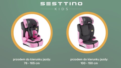 Fotelik Samochodowy Isofix + Top Tether Sesttino Rocker Pro I-Size 9-36Kg