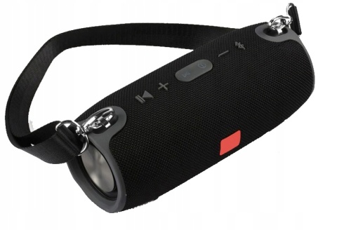 Głośnik Bluetooth 40W z Powerbankiem, IPX7, Radio FM - Lewer
