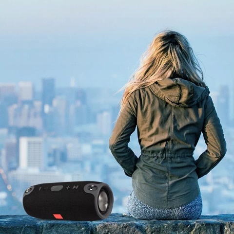 Głośnik Bluetooth 40W z Powerbankiem, IPX7, Radio FM - Lewer