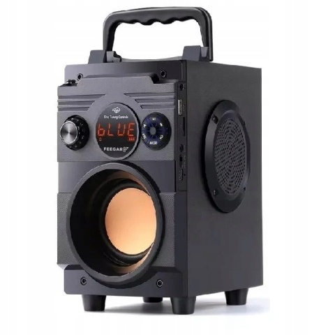Głośnik Feegar ShowJet 30W Bluetooth Karaoke z Bateriami 4000mAh