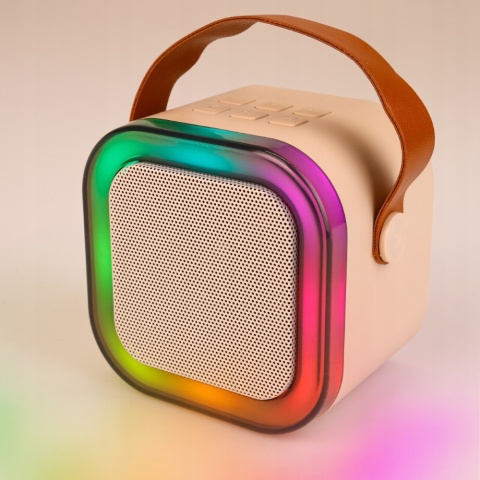 Przenośny głośnik karaoke z dwoma mikrofonami, Bluetooth 5.3, RGB