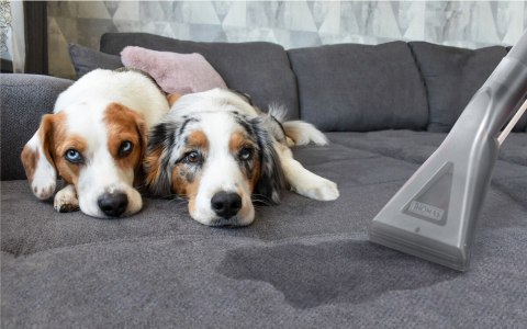 Odkurzacz Piorący Thomas Aqua Fleck 1400W 8L/16L Pranie Tapicerki I Dywanów