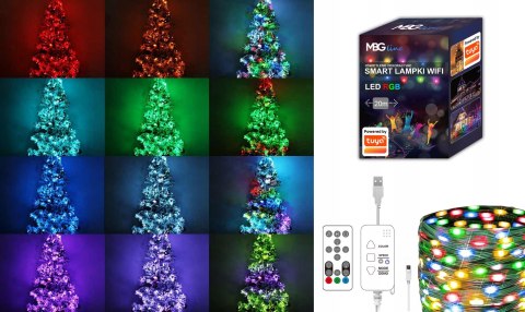 Inteligentne Lampki Choinkowe Led Wifi 20M Multikolor Tuya Smart 200Szt