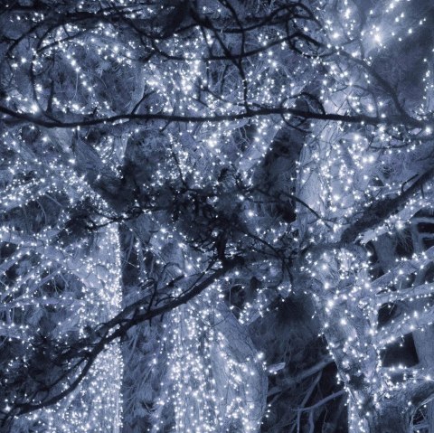 Lampki Choinkowe 1500 Led Eko Zewnętrzne - Białe Zimne, 121,5 M, Ip44, Ce
