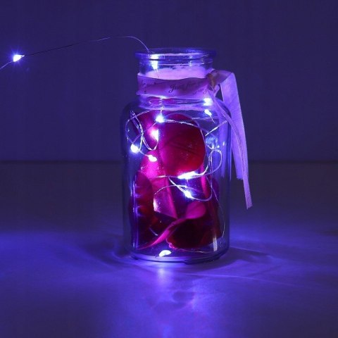 Lampki Led 100 Led Na Druciku Zimny Biały 10M Do Dekoracji Wnętrz I Imprez