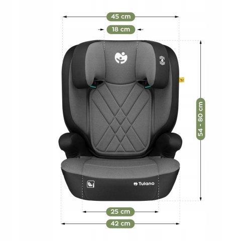 Fotelik Samochodowy Dziecięcy 2W1 Isofix I-Size 100-150Cm Ochrona Boczna