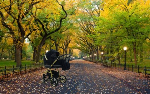 Wózek Dziecięcy Karex Quero 4W1 Alu Gold Isofix + Fotelik Samochodowy 13Kg