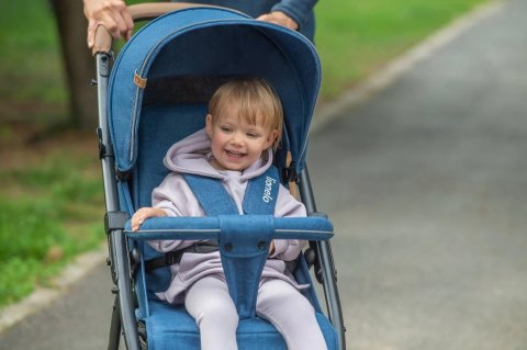 Wózek Dziecięcy Lionelo Dreamin Czarny 22Kg 5-Pkt Stelaż Koła Eva Xxl Budka