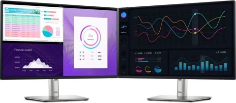 Monitor Dell P2425h 23,8 Cal Full Hd Ips 100Hz Usb-C, Stacja Dokująca