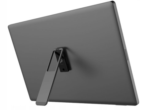 Monitor Przenośny Msi Pro Mp161 E2u 15,6 Ips Fhd 1920X1080 60Hz 4Ms Usb-C