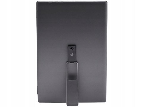 Monitor Przenośny Msi Pro Mp161 E2u 15,6 Ips Fhd 1920X1080 60Hz 4Ms Usb-C