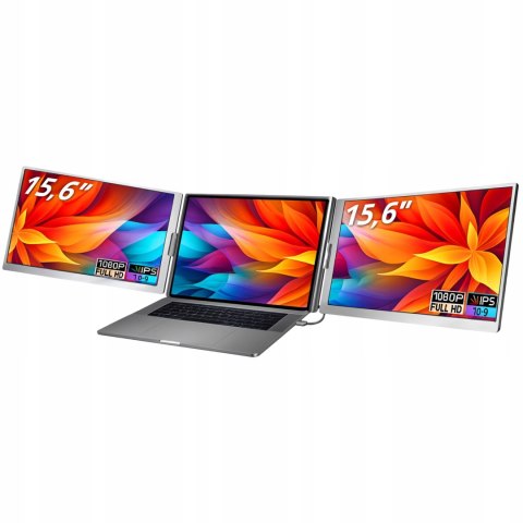 Do Pracy Nauki I Rozrywki 6 Cali Fhd, 2X Usb-C, 100% Srgb. Model Pmdl1560 Kontrast 1000:1