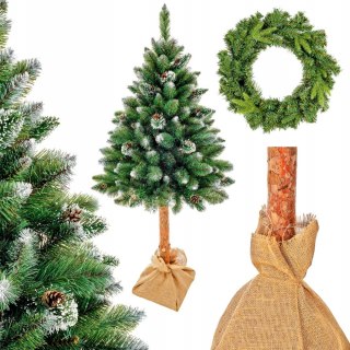 Choinka Sosna Diamentowa Montana 180Cm Na Pniu Naturalnym Wysokość Pnia Naturalnego 63Cm