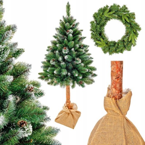 Choinka Sosna Diamentowa Montana 180Cm Na Pniu Naturalnym Wysokość Pnia Naturalnego 63Cm