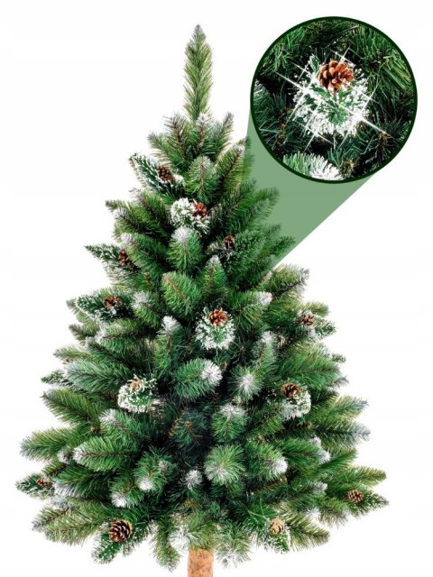 Choinka Sosna Diamentowa Montana 180Cm Na Pniu Naturalnym Wysokość Pnia Naturalnego 63Cm