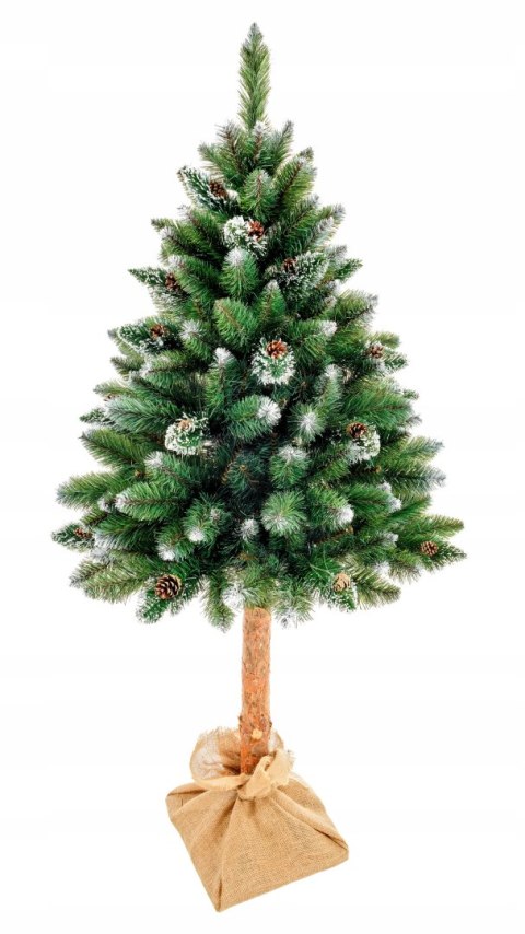 Choinka Sosna Diamentowa Montana 180Cm Na Pniu Naturalnym Wysokość Pnia Naturalnego 63Cm