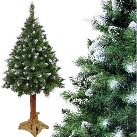 Choinka Sztuczna 150 Cm Sosna Diamentowa Z Naturalnym Pniu I 145 Gałązek