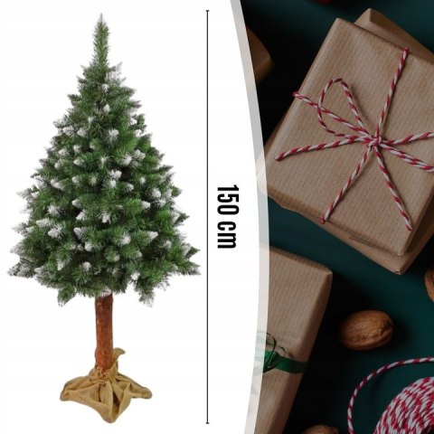 Choinka Sztuczna 150 Cm Sosna Diamentowa Z Naturalnym Pniu I 145 Gałązek