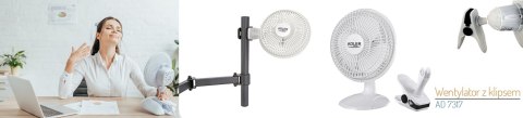 Wentylator Biurkowy 2W1 Klips+Podstawa 15Cm, Regulacja Kąta, 2 Prędkości